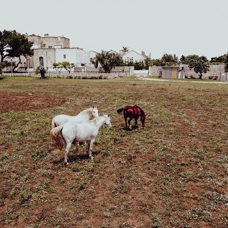 Masseria Francescani Torre Chianca Exterior foto